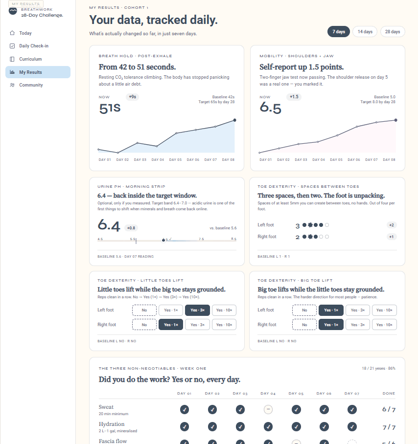 28-Day Immersive participant dashboard, demo data