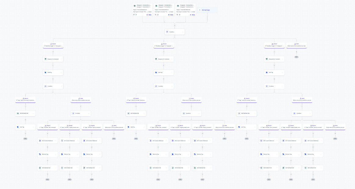 Comment-to-DM-to-email automation map